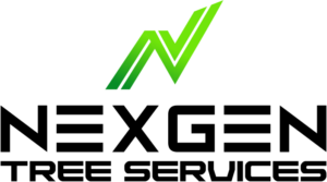 Tree Removal Gold Coast | NexGen Tree Services - Free Quotes