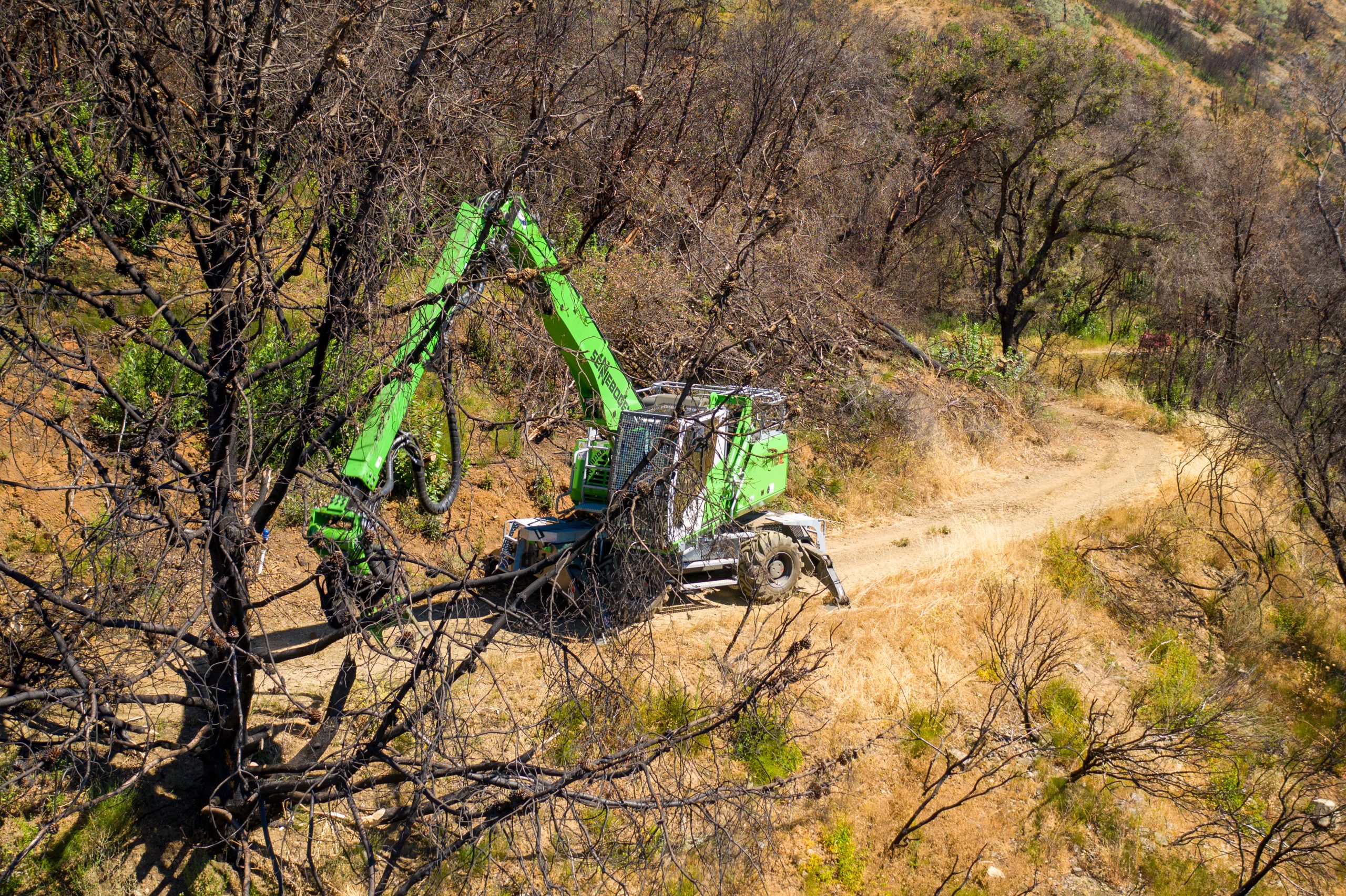 Civil & Commercial Tree Removal Backhoe