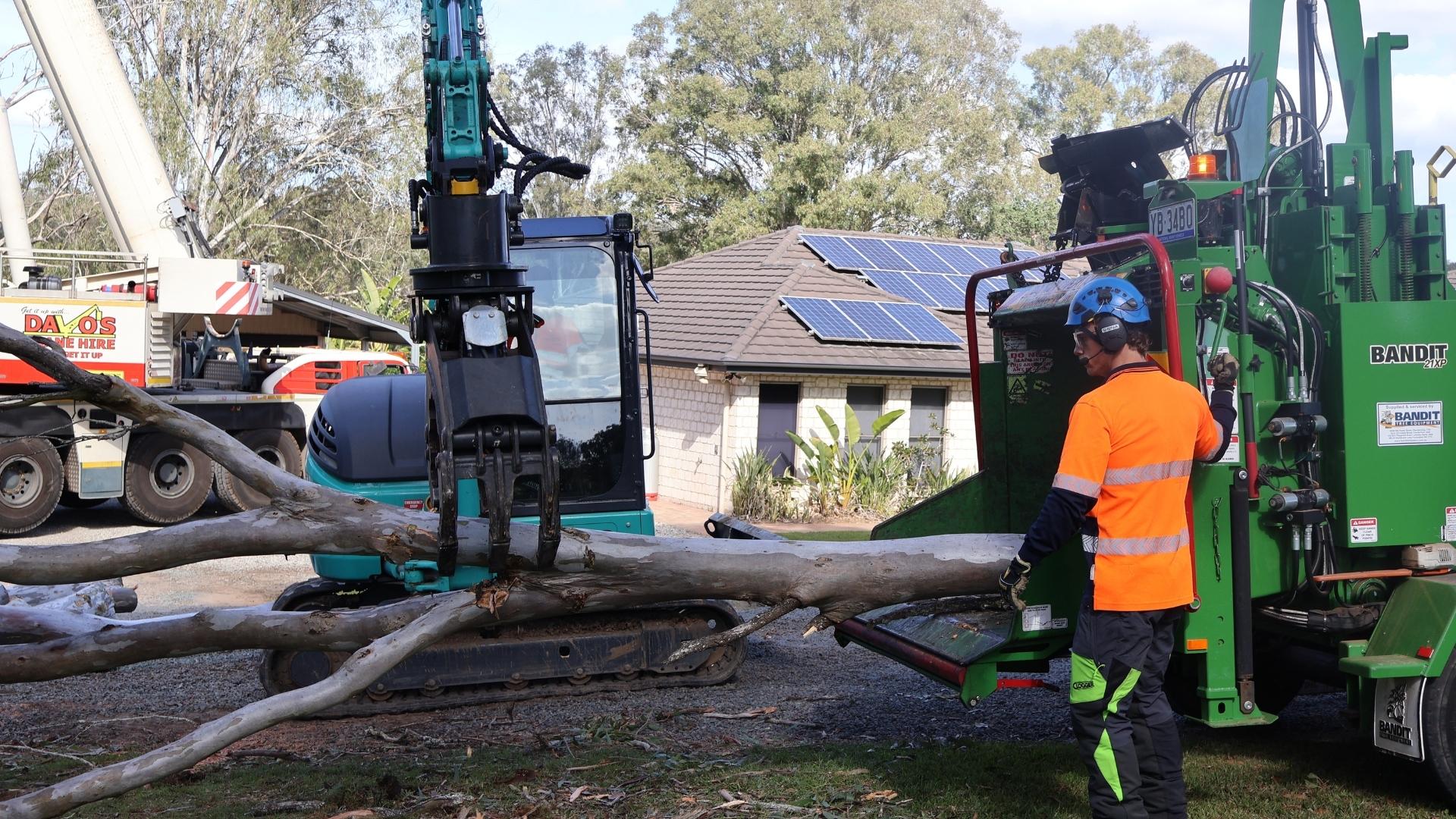 NexGen Tree Services