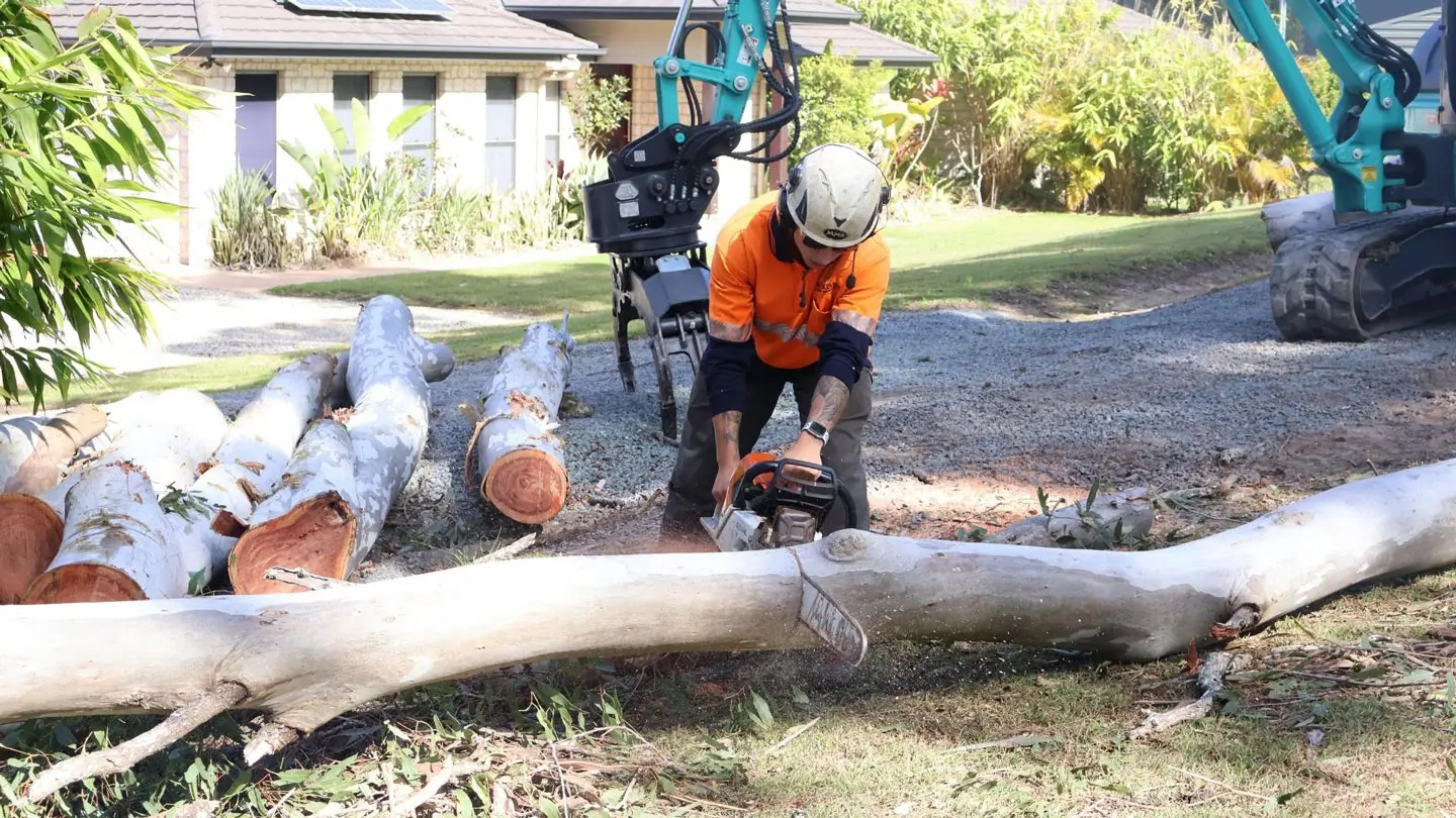 NexGen Tree Services