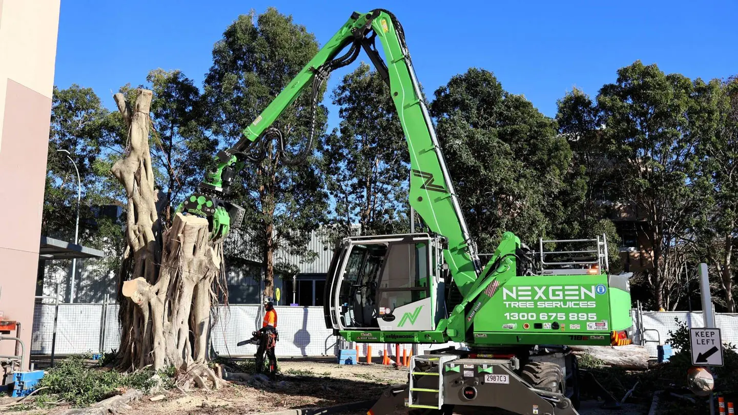 nexgen tree services