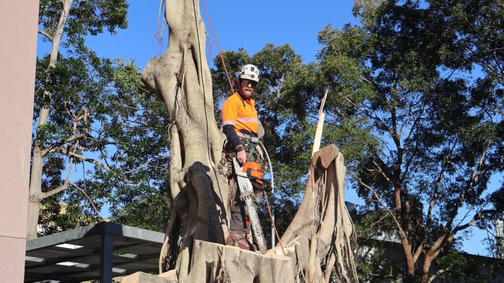 nexgen tree services