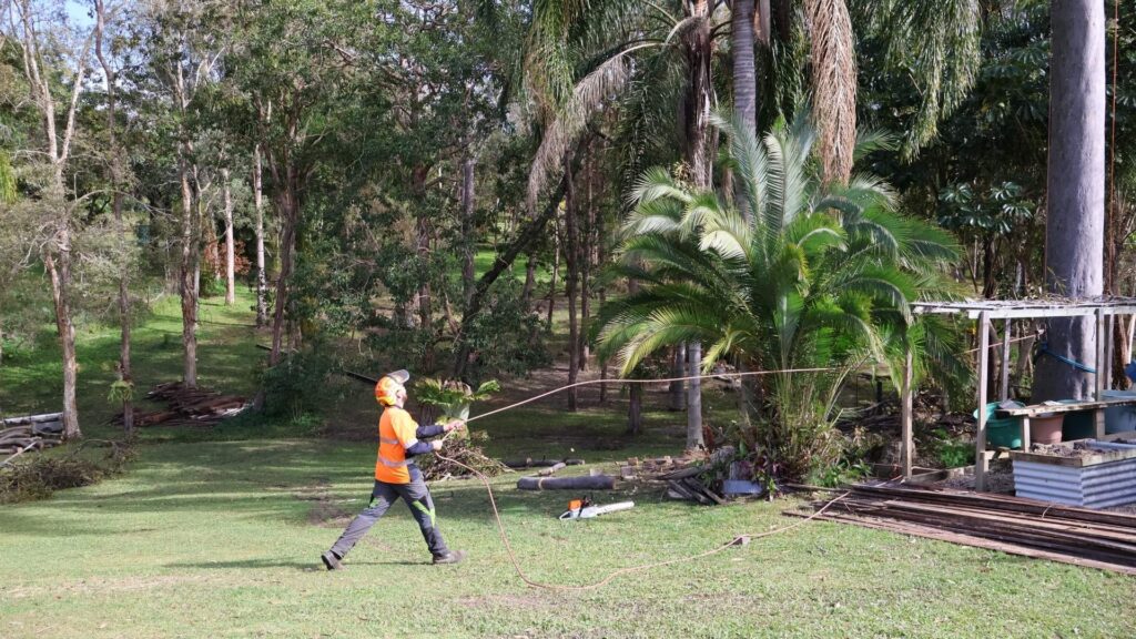 nexgen tree services