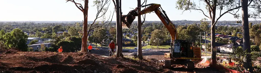 Excavator digging out tree stumps and roots on a Gold Coast house block