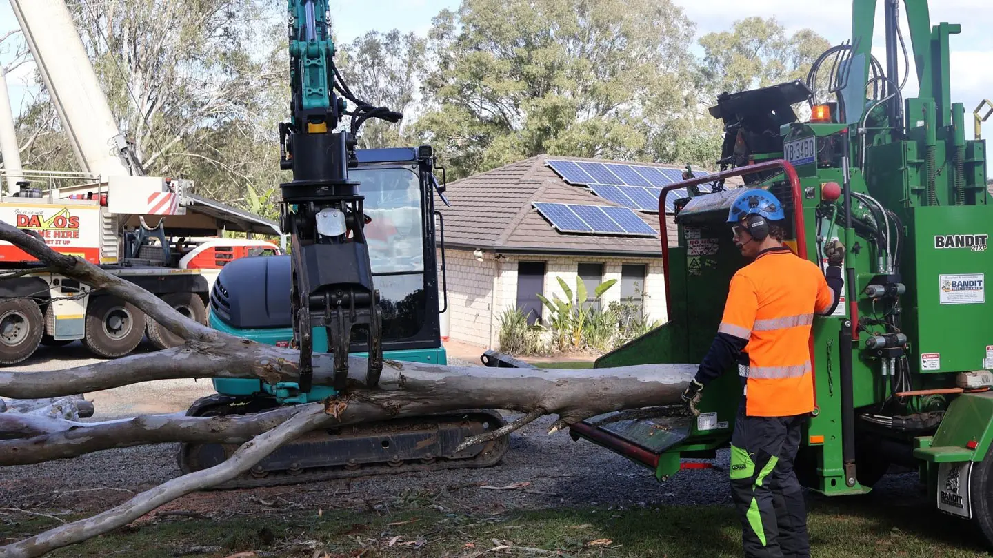 NexGen crew removing a tree beside a house
