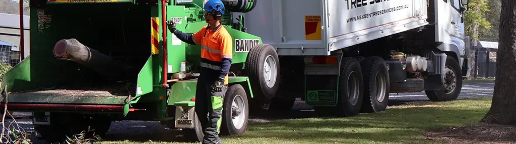 Storm Clean Up Gold Coast | NexGen Tree Services