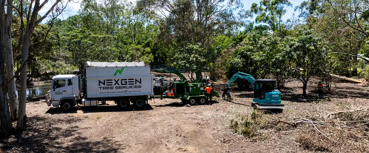 Storm Clean Up Gold Coast | NexGen Tree Services