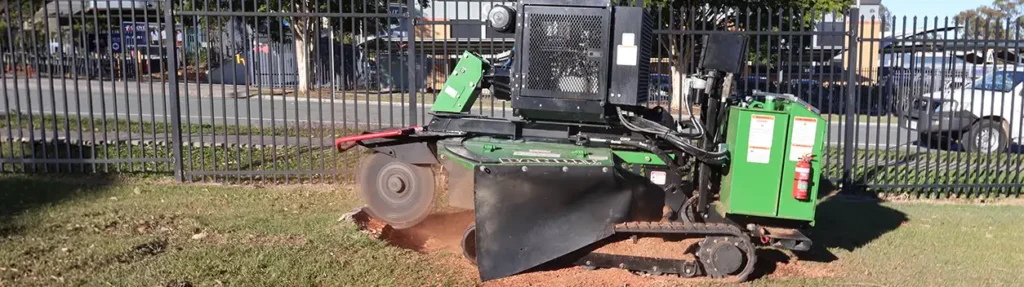 Stump Grinding & Removal Gold Coast | NexGen Tree Services